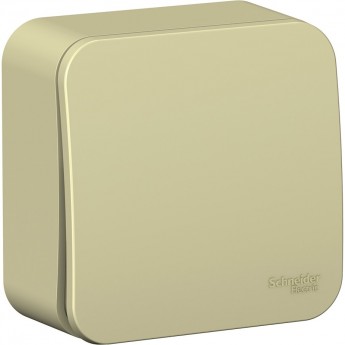 1-клавишный выключатель SCHNEIDER ELECTRIC BLANCA с самовозвратом, с изолирующей пластиной, 10А, БЕЖЕВЫЙ